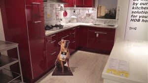 IKEA promuje adopcję psów